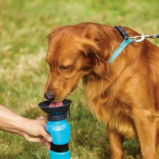 Pet Sipper Portable Water Pump Bowl Bottle Mug Cup for Pet
